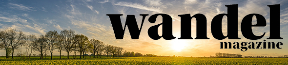 wandelmagazine header